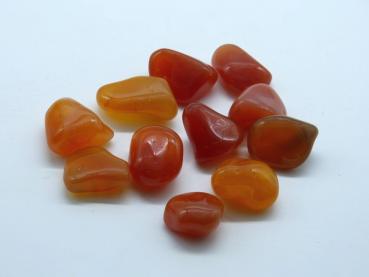 Preview: Carneol Classic, klar,  Botswana,  ca. 1,5 bis 2,8cm Größe